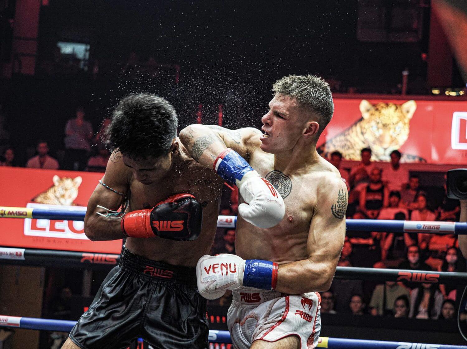 Types of Muay Thai elbow