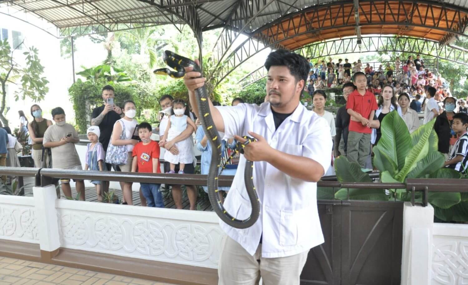 Visit Bangkok's snake farm