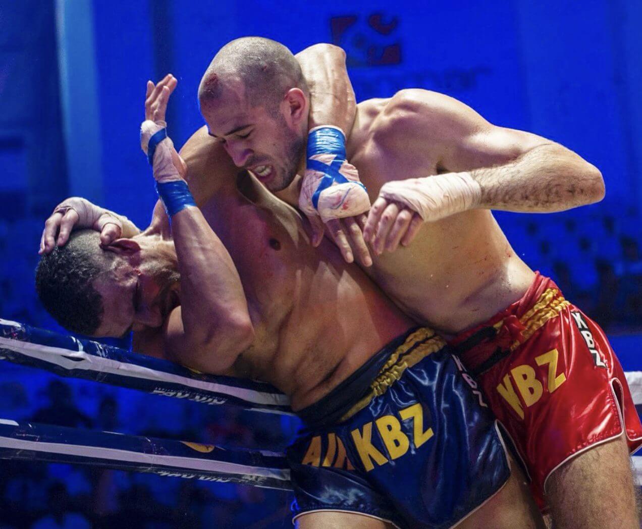Lethwei techniques