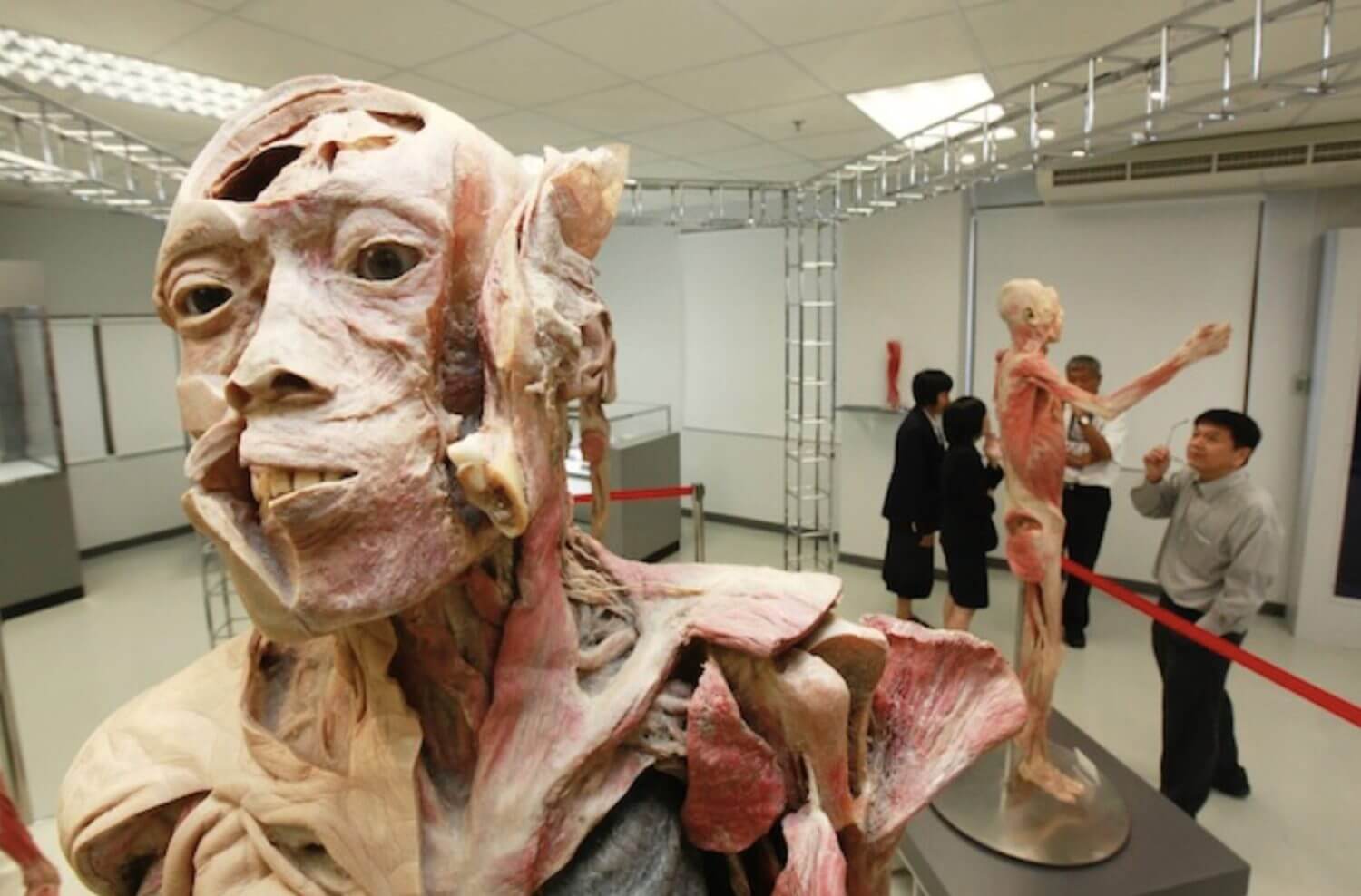 The Human Body Museum in Bangkok