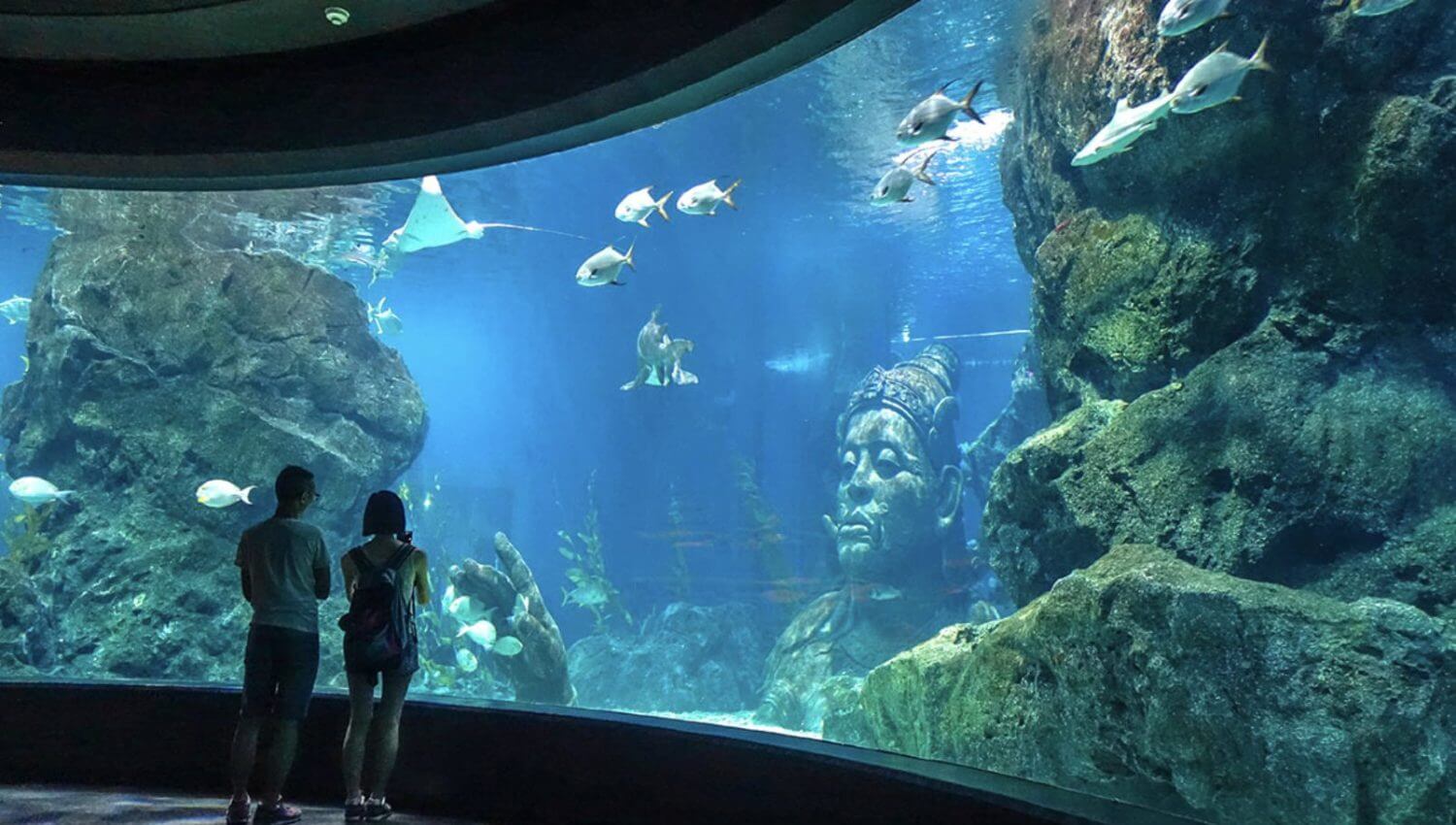 Siam Ocean World (Sea Life Bangkok)