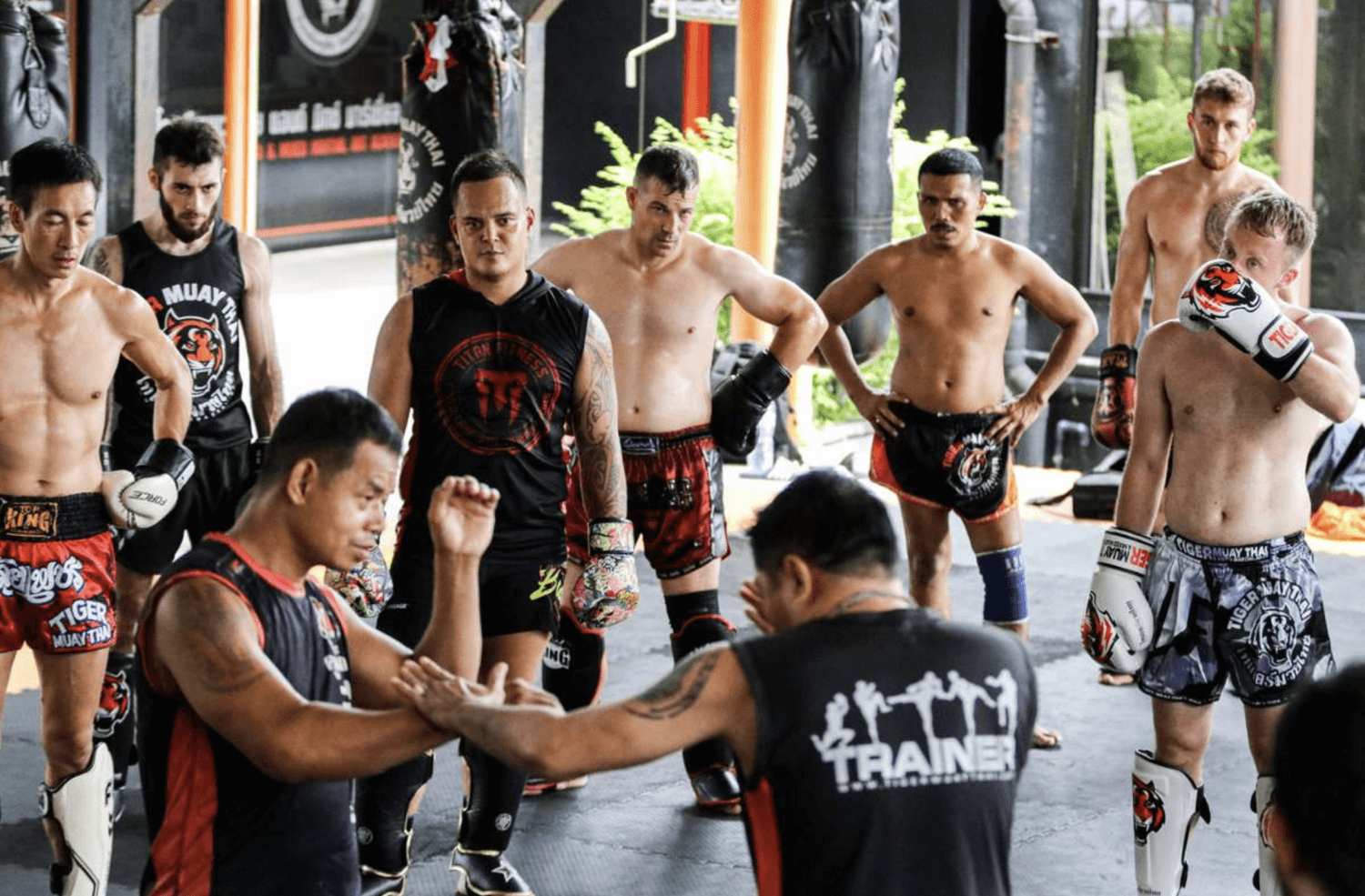 Tiger Muay Thai camp