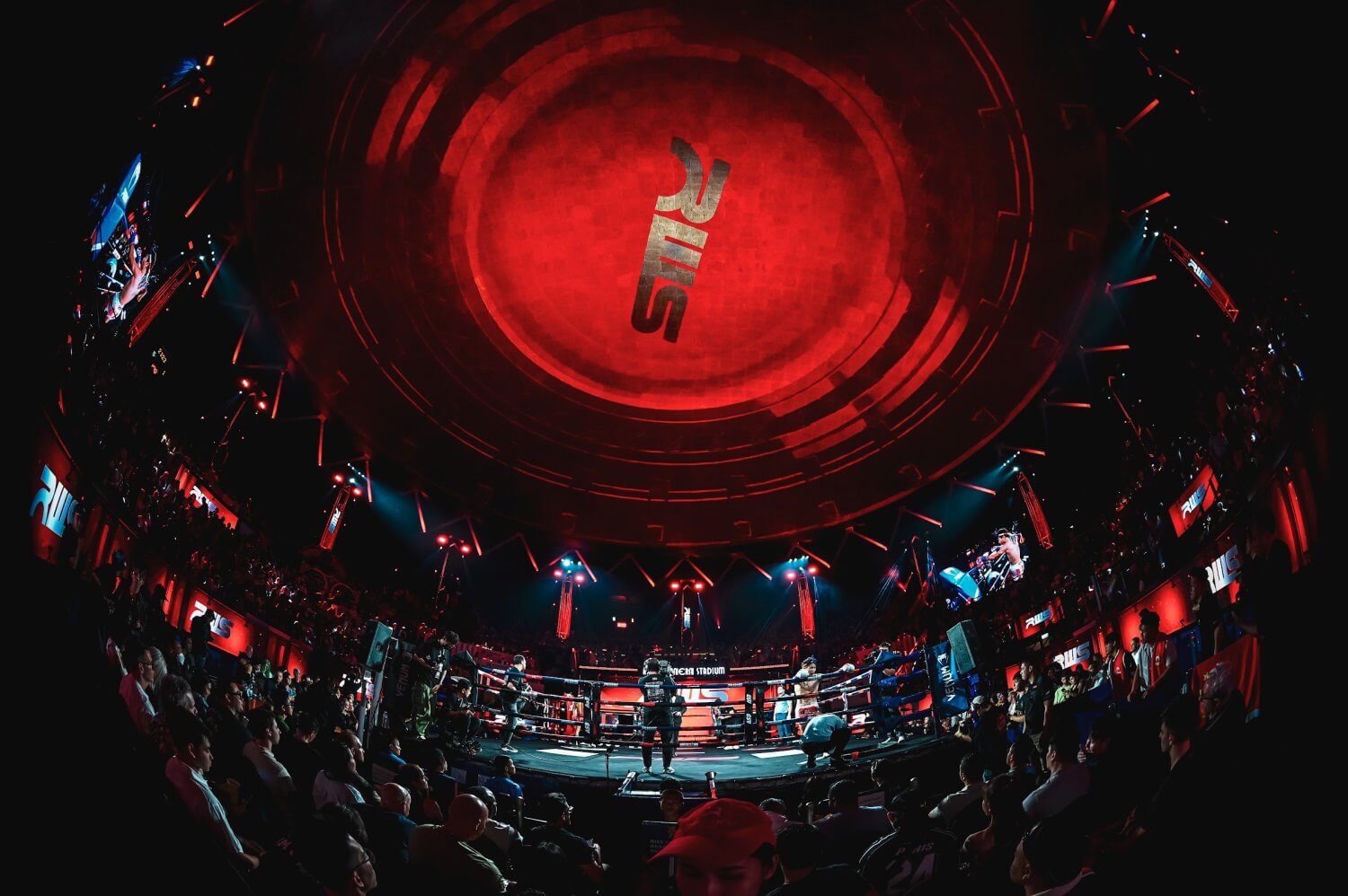 Experience the Thrill of Live Muay Thai Matches