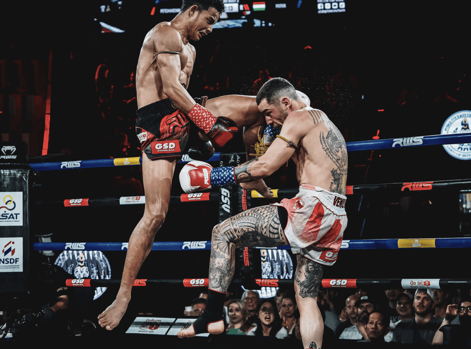 muay thai exercises